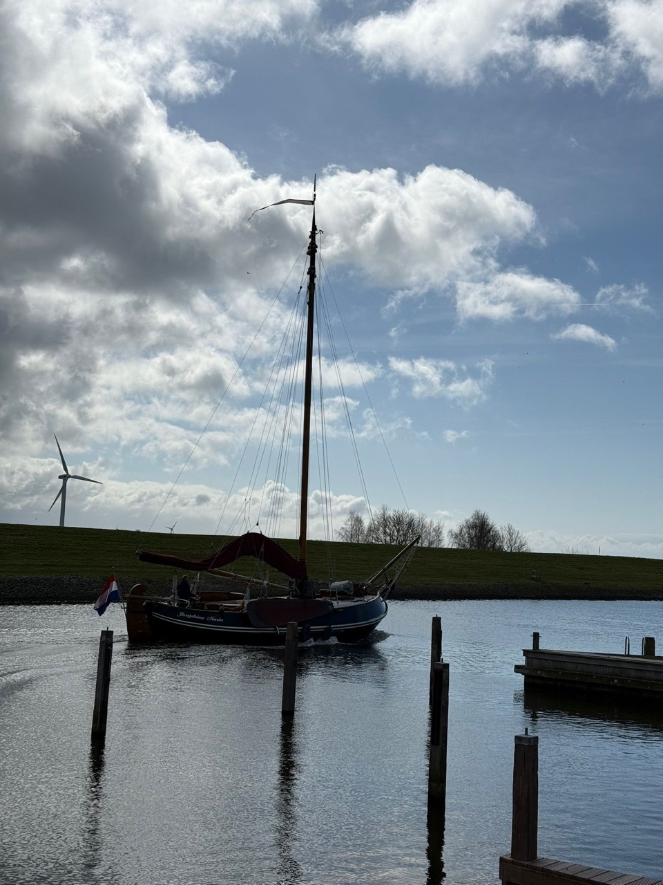 0d402d1c-6856-41f2-8c98-7a1f655473f3 Groot